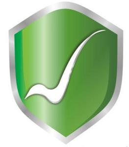 互聯網藥品信息服務管理辦法 規范網絡平臺，保障公眾用藥安全